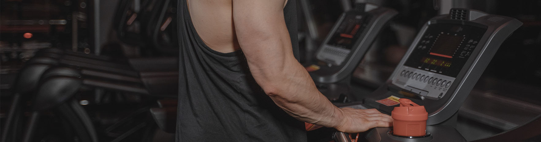 fitness-and-sports-wholesale-distribution-companies